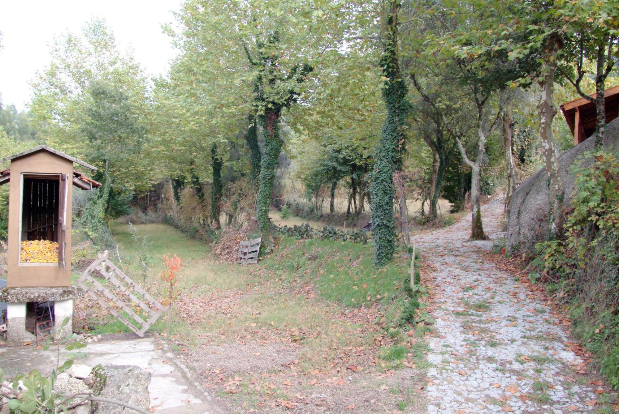 Quinta Da Veiga E Malhadoira ξενώνας Vieira do Minho Εξωτερικό φωτογραφία